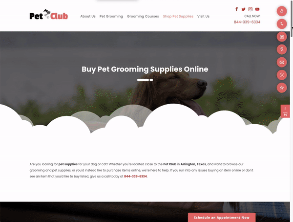 shopify_thryv_website.gif