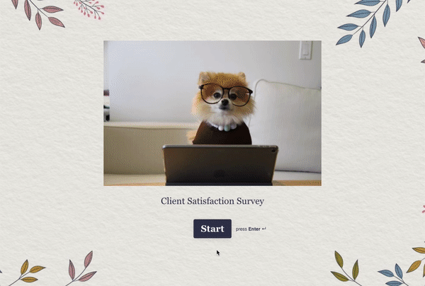 Typeform.gif