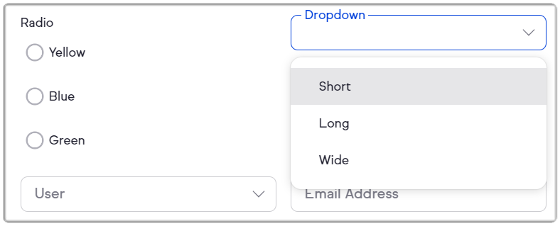 Customfieldtype11.png
