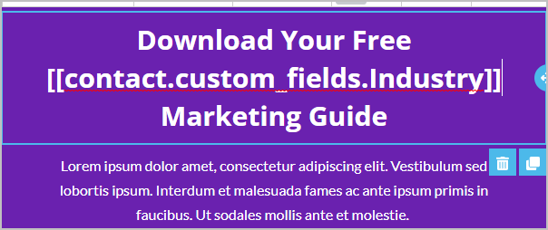 MergecustomEmailBuilder3.png